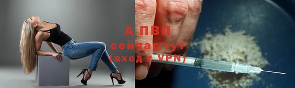 apvp Богданович